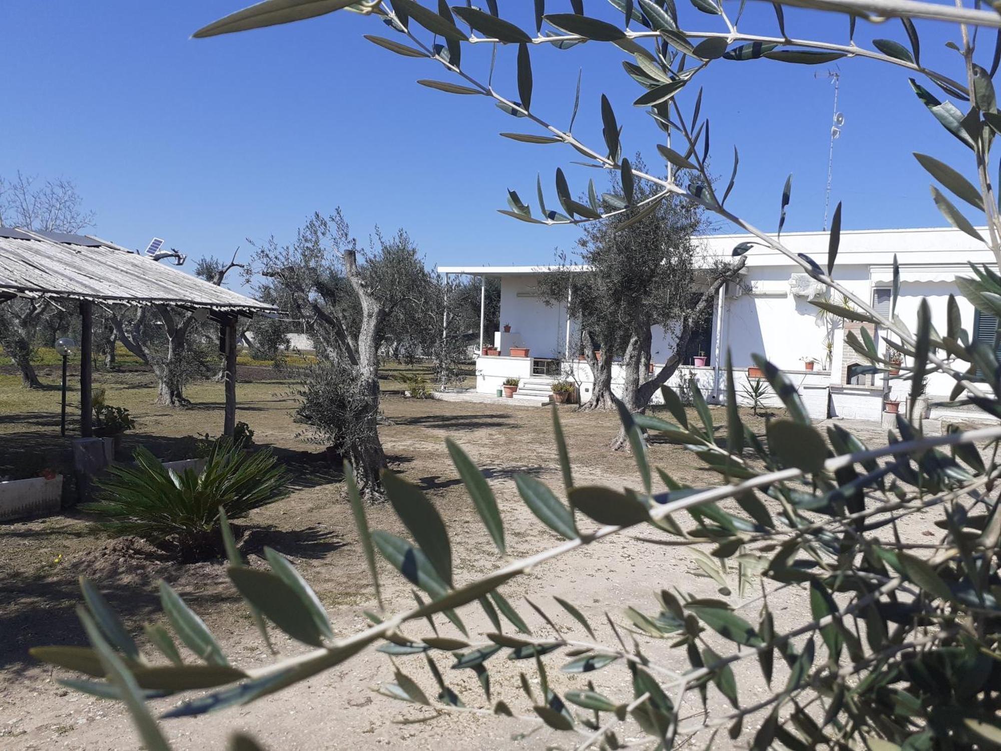 Casa Vacanza Fiorella Torre dell'Orso Quarto foto